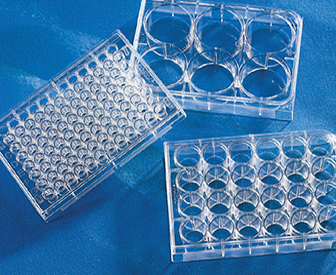 Case of 48 With Lid Corning 3610 Polystyrene Flat Bottom 96 Well White Microplate TC-Treated 