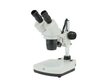 275x336 204 CAR DSM 30DP2 1